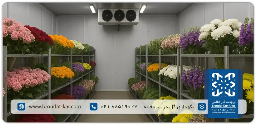 Shelved storage of various flowers in the cold room.
