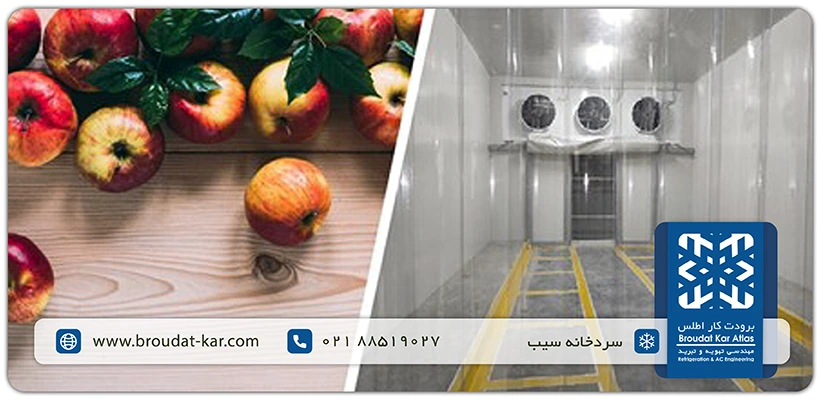 Apple Cold Storage
