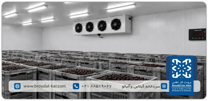 Cherry and sour cherry cold storage design and construction with technical review, cooling calculations, and performance monitoring