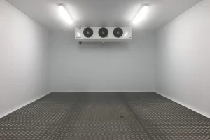 سردخانه فریونی-3