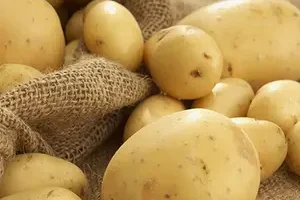 potaato