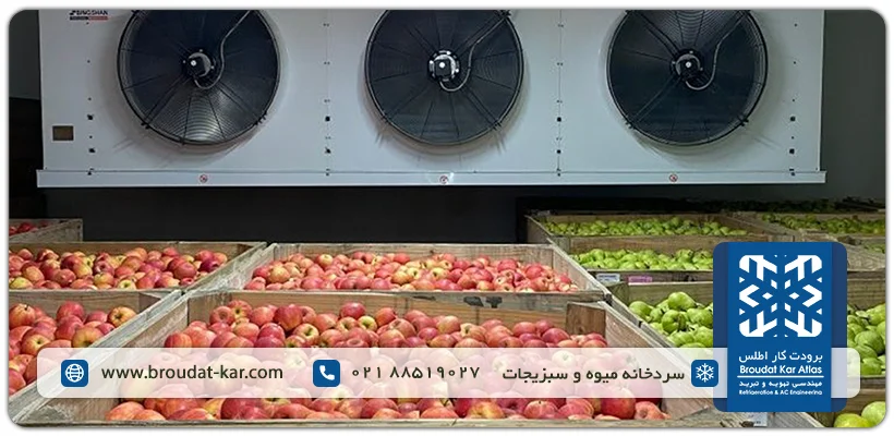 حفظ تازگی و طراوت میوه و سبزیجات در سردخانه زیر صفر