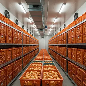 سردخانه پیاز