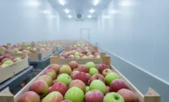 سردخانه سیب برودت کار اطلس